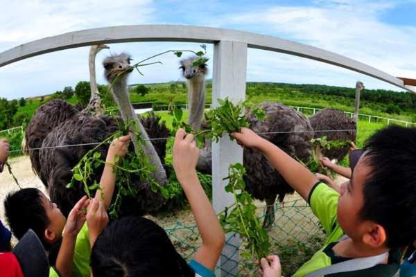 Uk Farm Agro Resort Kluang Exterior foto